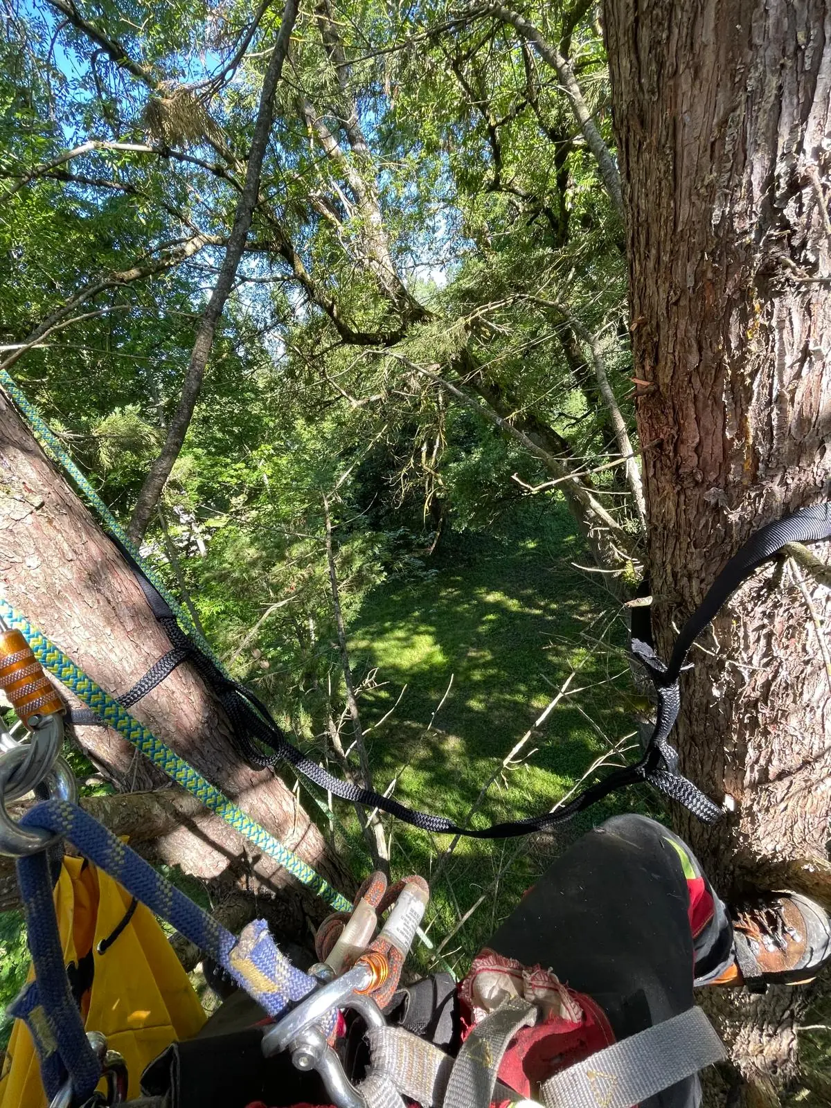 Vue plongeante depuis le harnais : longe passée autour du tronc, mousquetons, pied de l’élagueuse